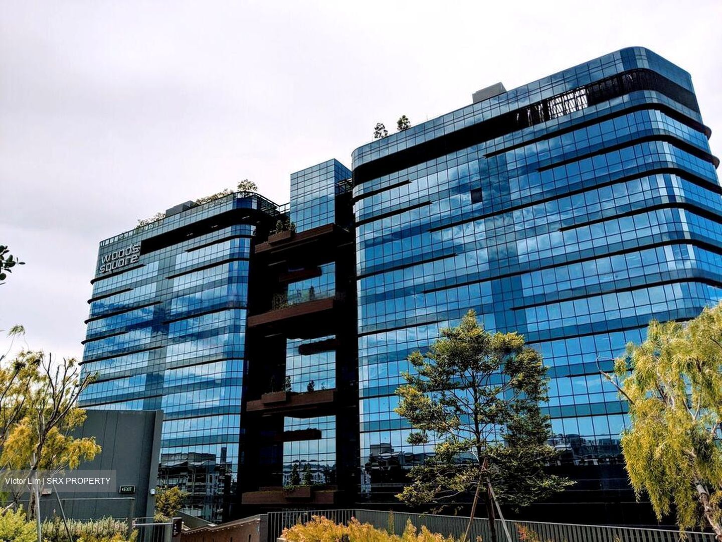 Woods Square (D25), Office #459220331